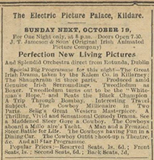 Electric Picture Palace, Kildare