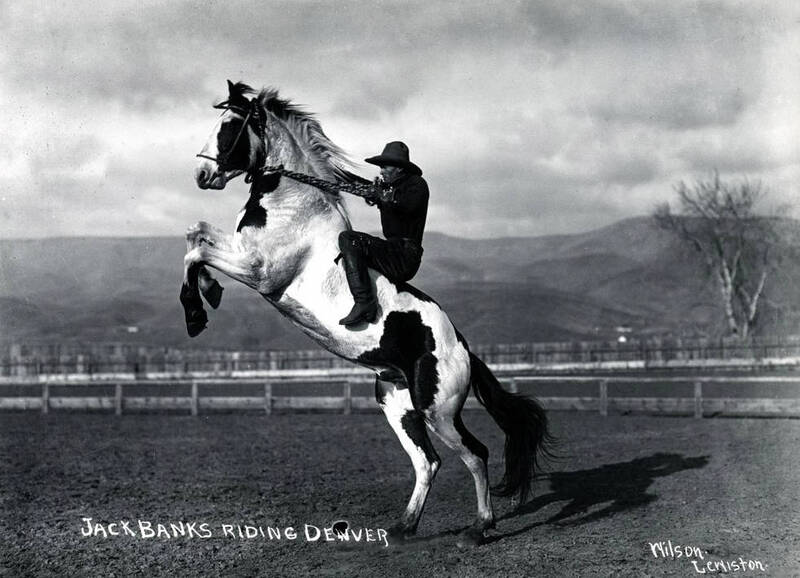 Jack Banks riding Denver. Lewiston Roundup. Lewiston, Idaho.