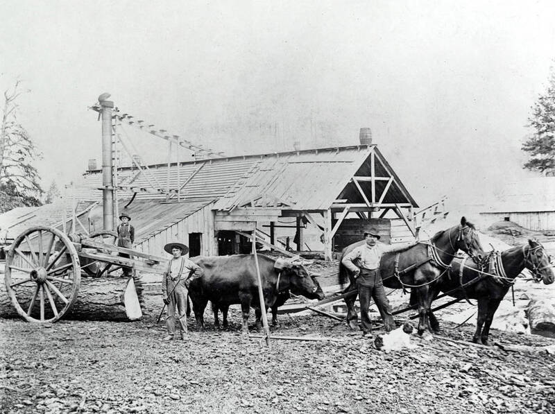 Erickson's Mill. Reubens, Idaho.