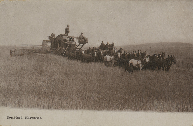 Postcard of a horse drawn combine harvesting grain in fields near Moscow, Idaho.