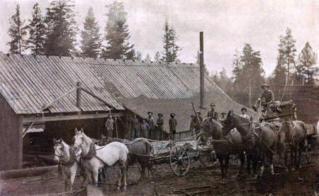 E.S. Sweet sawmill. Near Keuterville, Idaho.