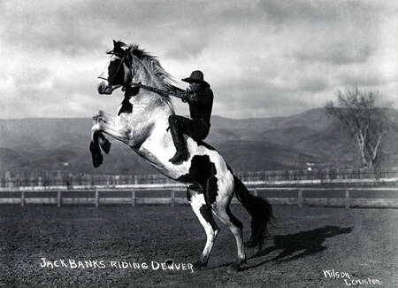 Jack Banks riding Denver. Lewiston Roundup. Lewiston, Idaho.