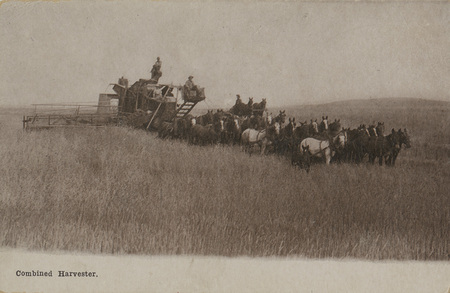 Postcard of a horse drawn combine harvesting grain in fields near Moscow, Idaho.