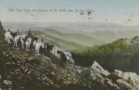 Postcard of a pack train on the summit of Mt. Baldy.