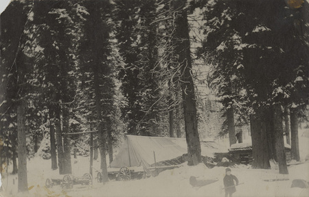 Postcard of a logging camp in Collins, Idaho.