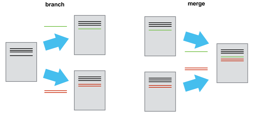 arrows depict branch and merge of document versions